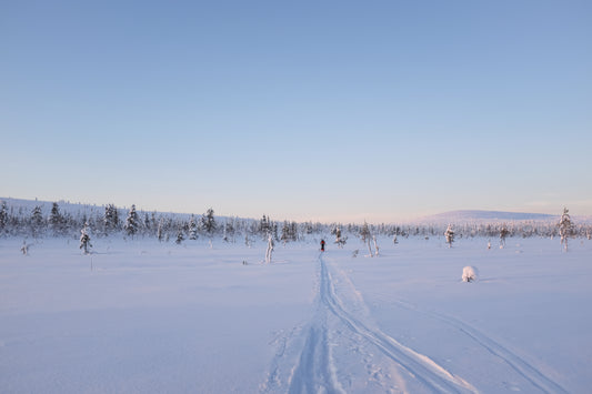 Arctic Winter Skills with Sidetracked Adventures