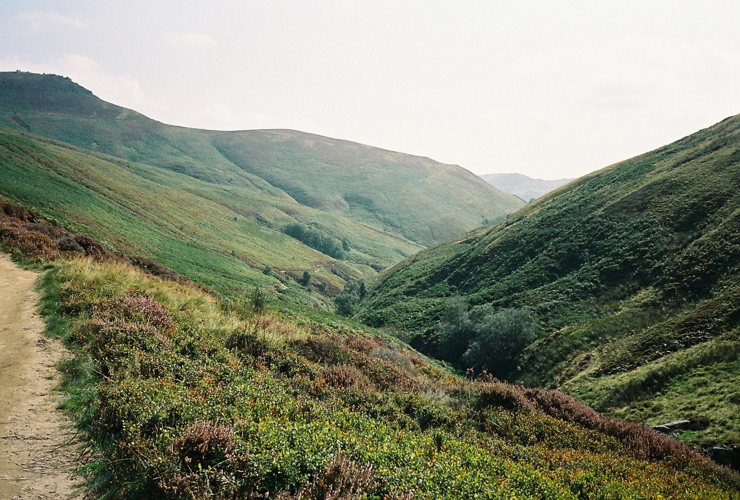 Views down valley Edale ferns