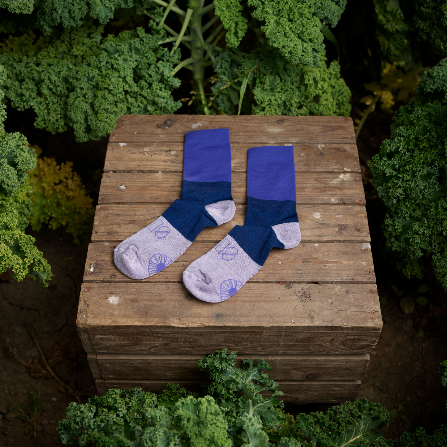 Merino Socks - Kobalt